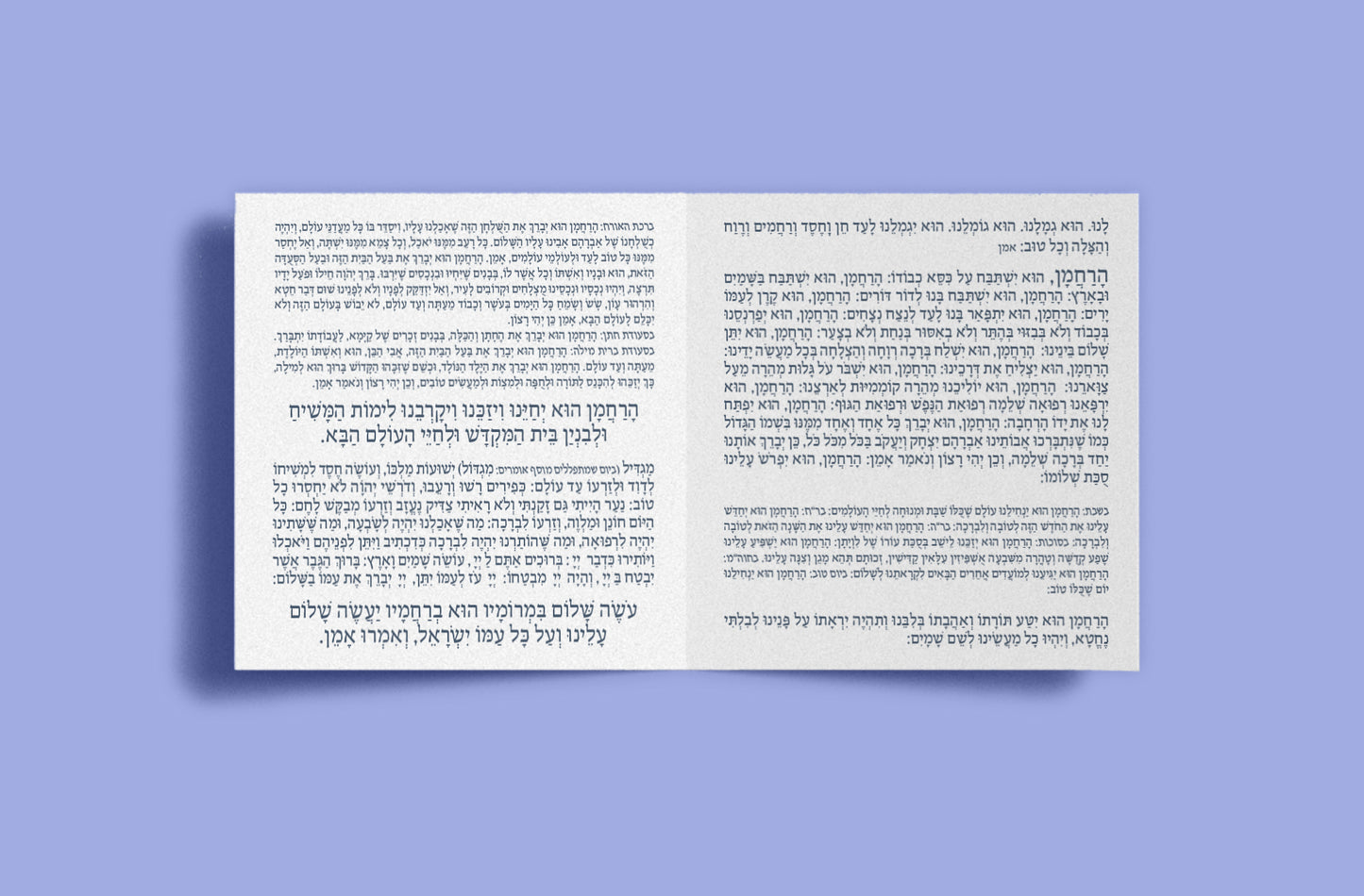 ברכונים
